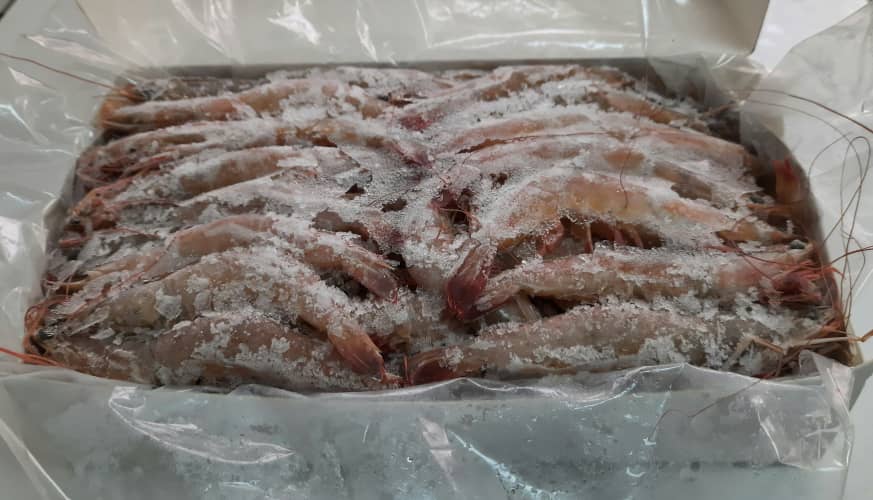 CAMARON ENTERO MARINO CONGELADO ( Envase 2 kg)
